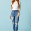 Miami Distressed Medium Wash Skinny Jean